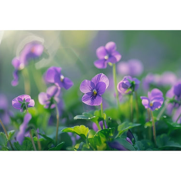 Purple Flower Painting Print